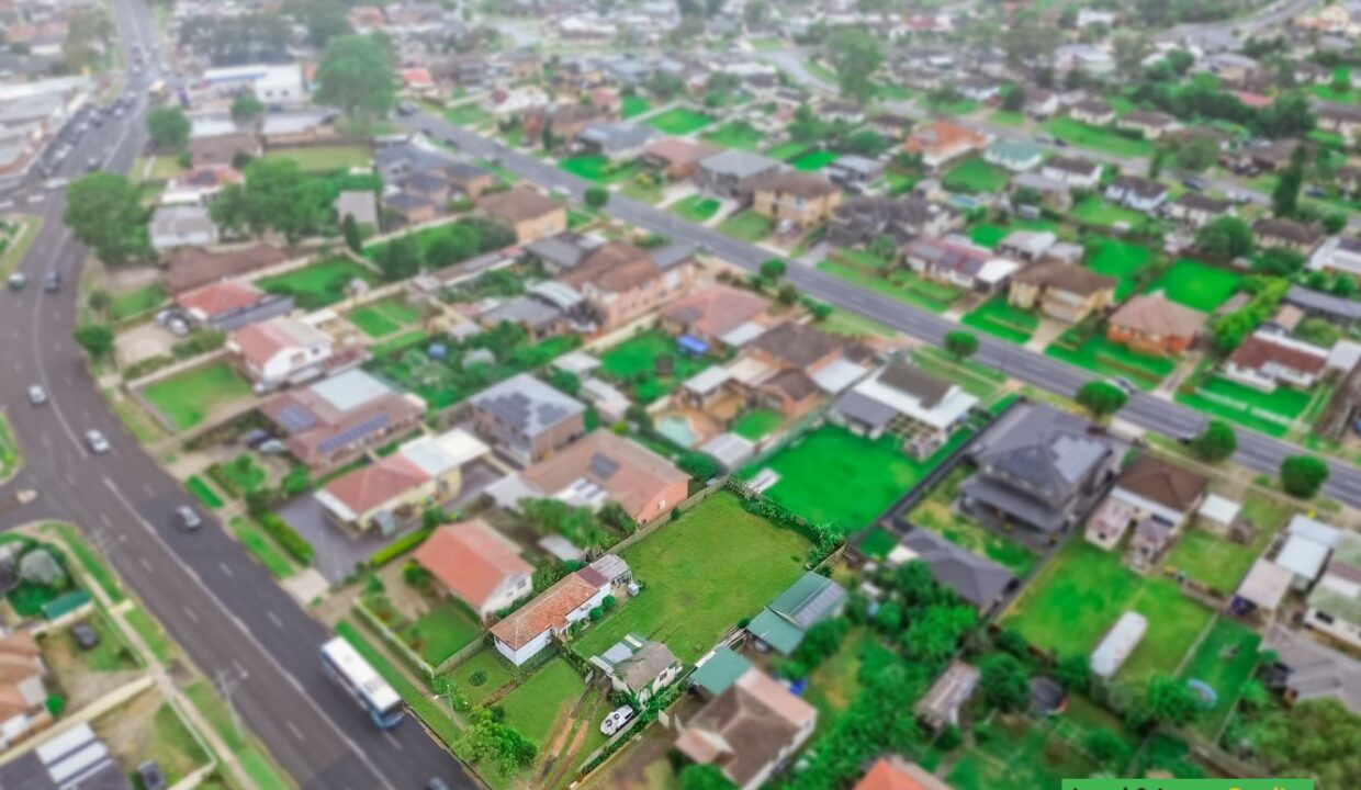 2019849729_11_1_250310_045249-w1333-h1000