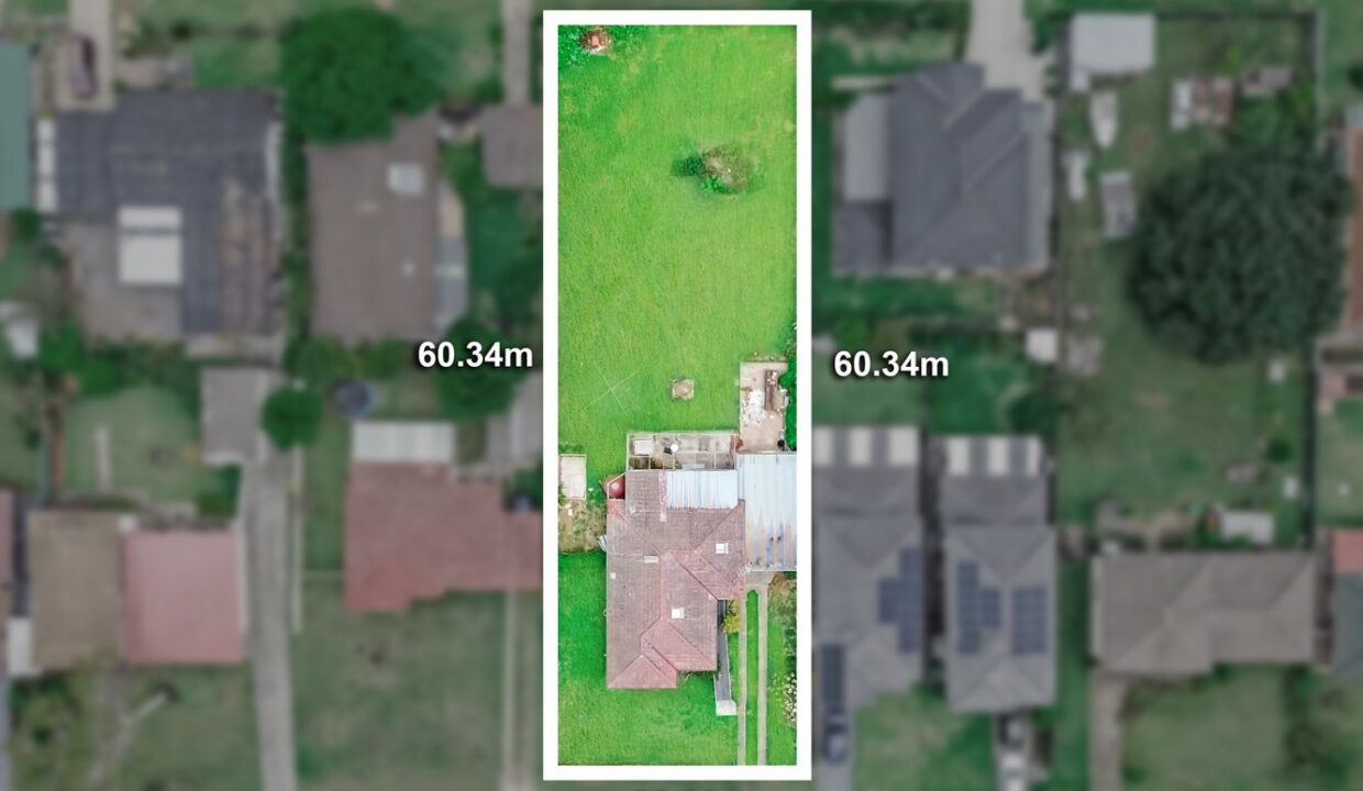 2019891791_14_1_250326_114955-w1333-h1000